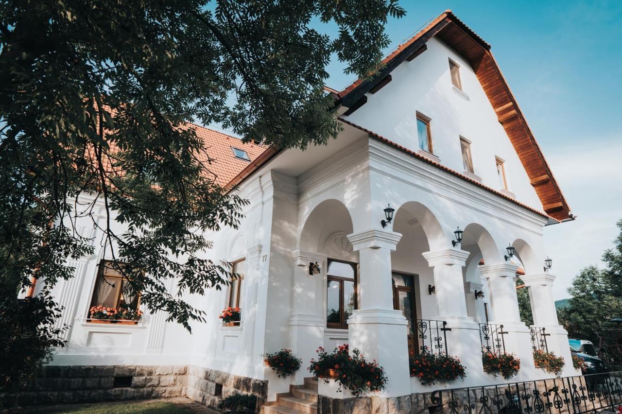 Hotel Conacul Secuiesc-Szekelyko Kuria Coltesti Exterior foto